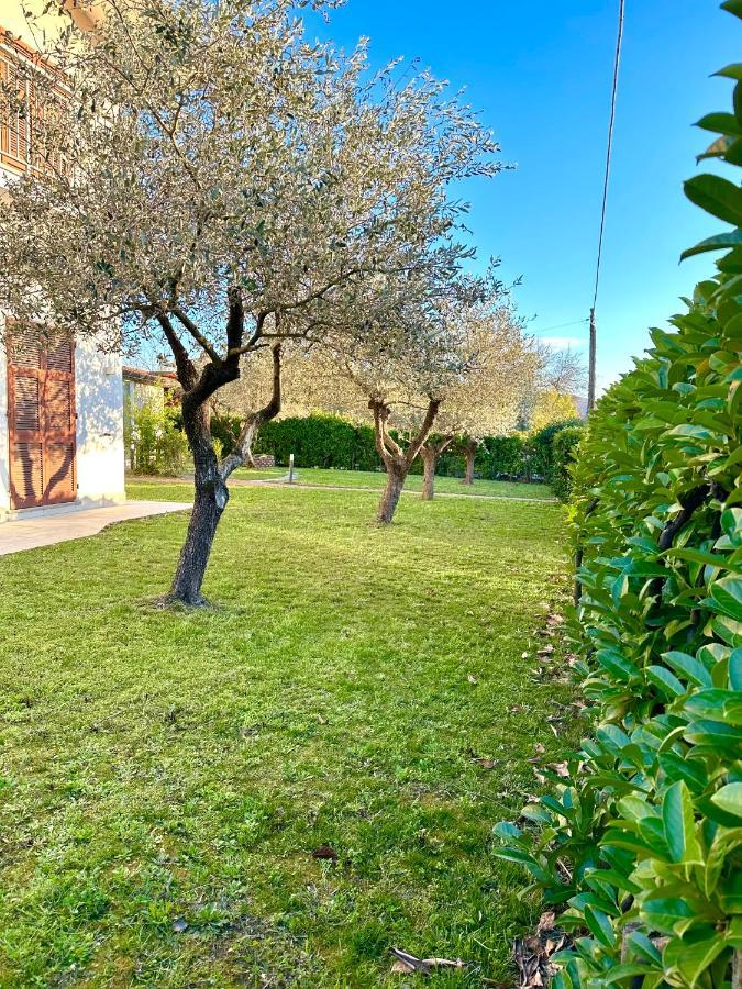 Abitatt Aparthotel Fosdinovo Eksteriør bilde